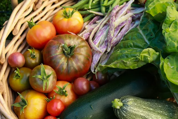 From the estate to your table: fresh organic, locally grown-1